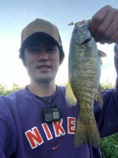 スモールマウスバスの釣果