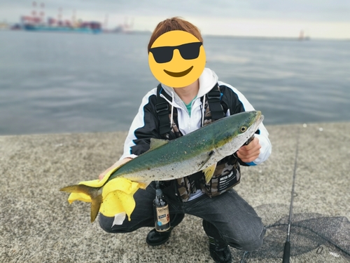 メジロの釣果