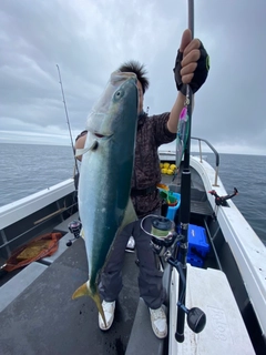 ヤズの釣果