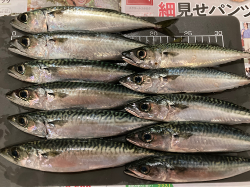 釣果