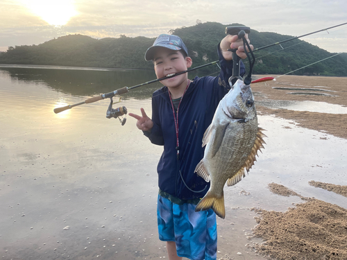 ミナミクロダイの釣果