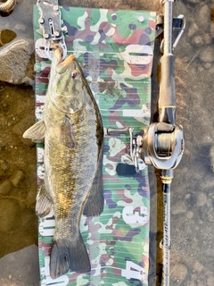 スモールマウスバスの釣果