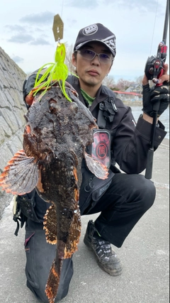 カジカの釣果