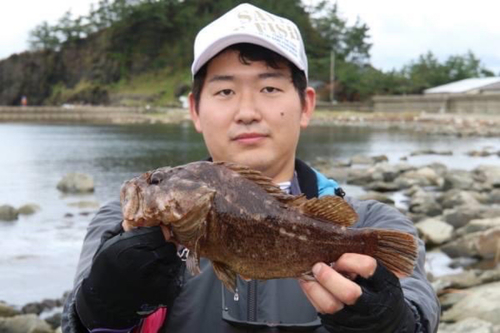 ムラソイの釣果