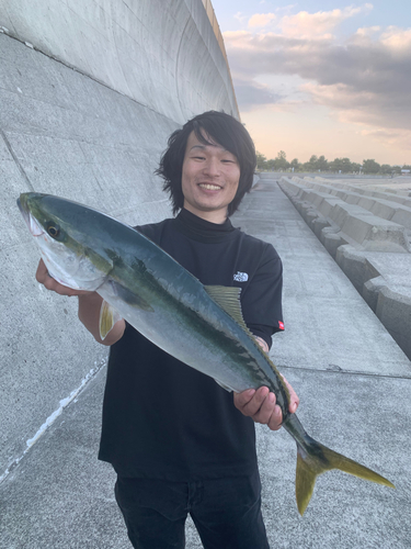 メジロの釣果