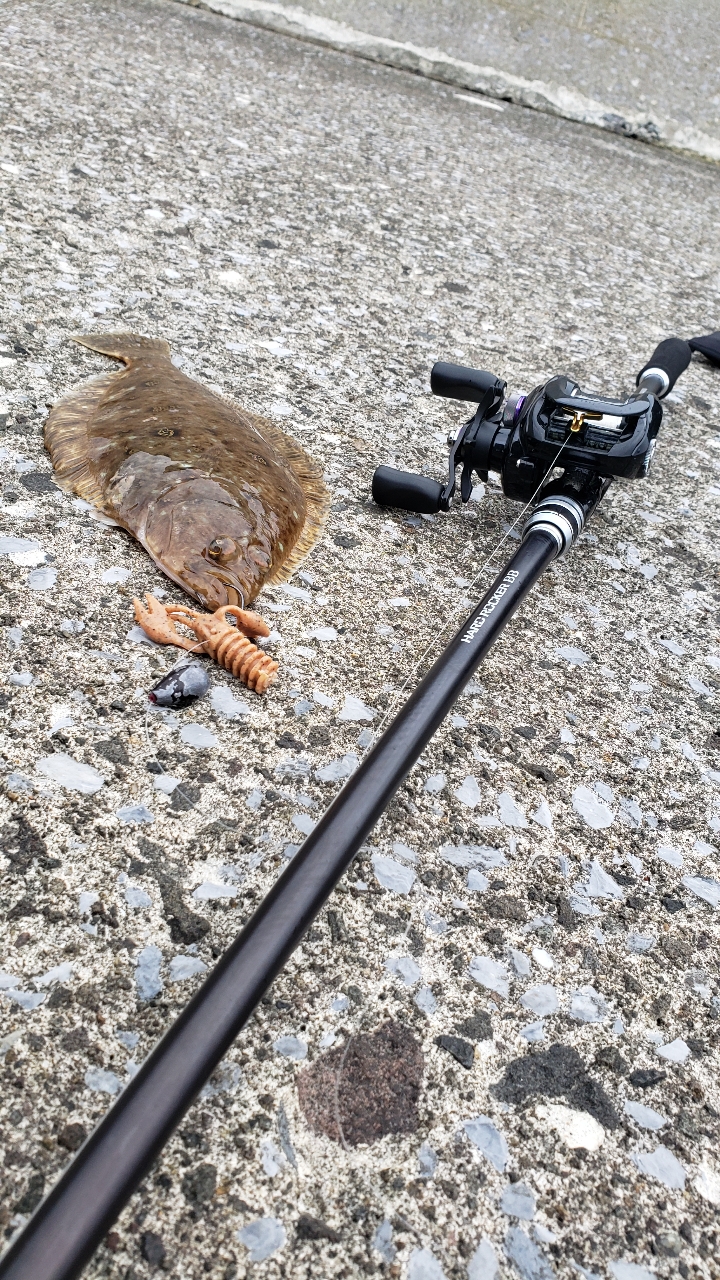 カレイ