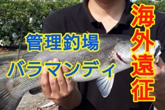 バラマンディの釣果