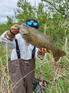 スモールマウスバスの釣果