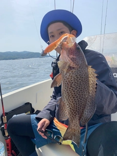 オオモンハタの釣果