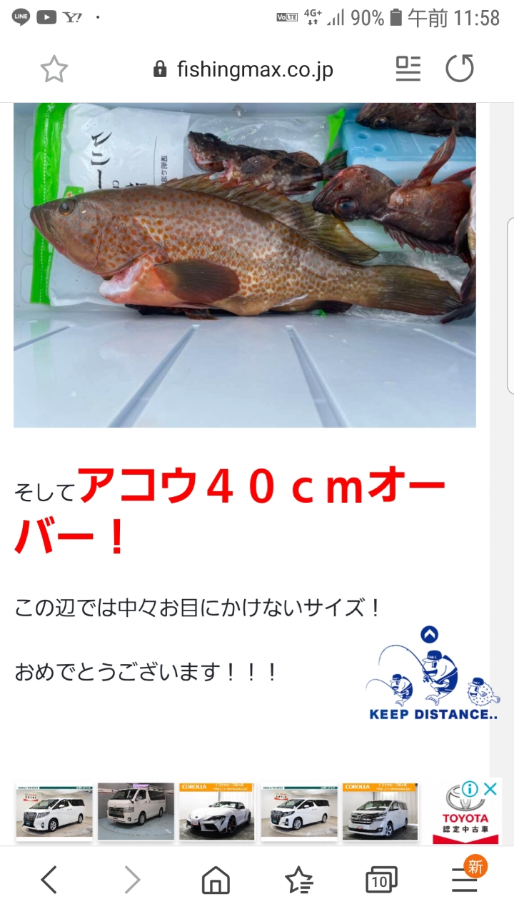 アコウ