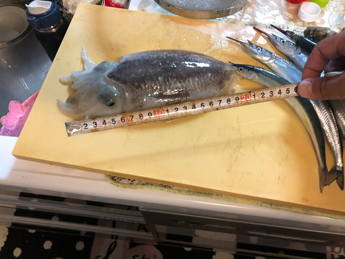 釣果