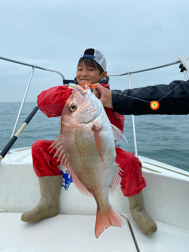 マダイの釣果