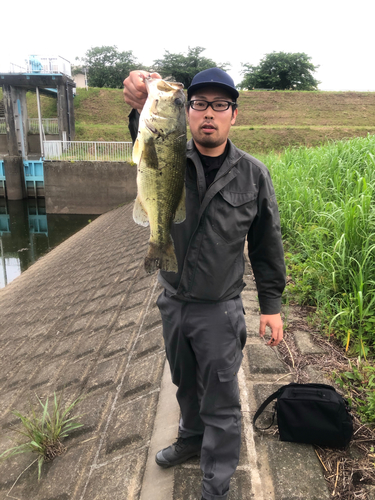 ブラックバスの釣果