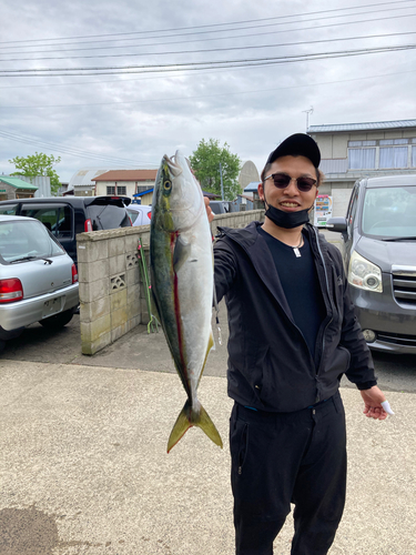 ワラサの釣果