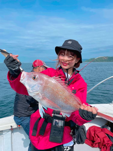 マダイの釣果