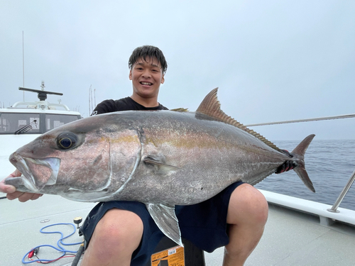 カンパチの釣果