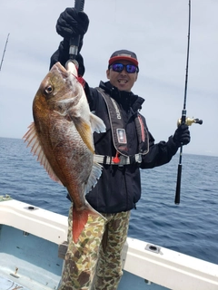 タイの釣果