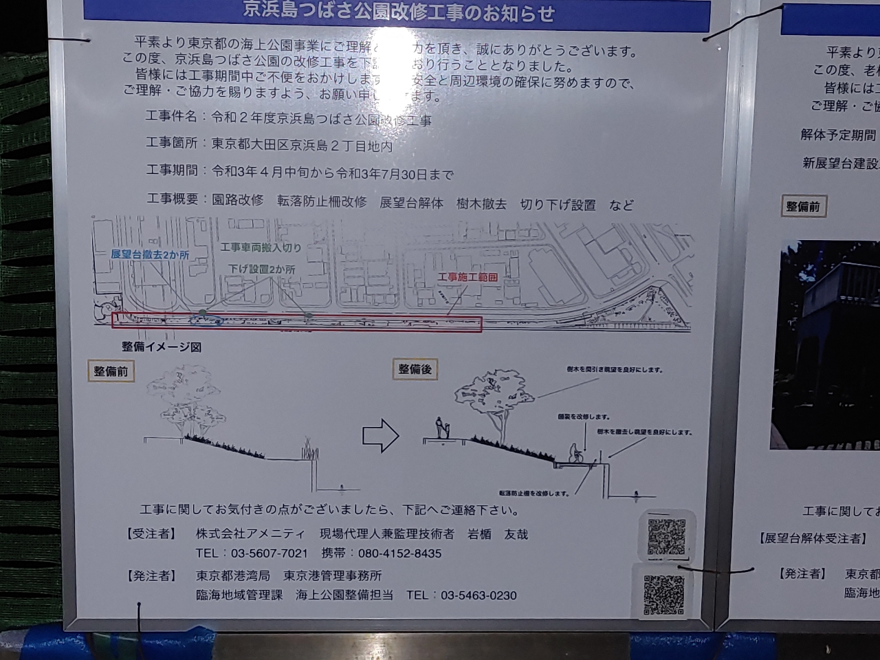 カタクチイワシ