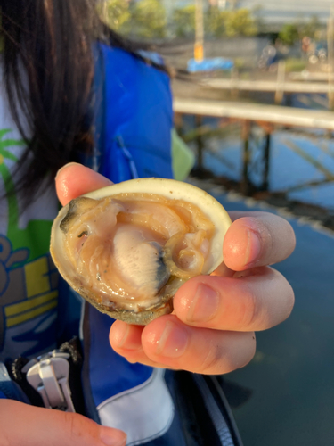 カニの釣果