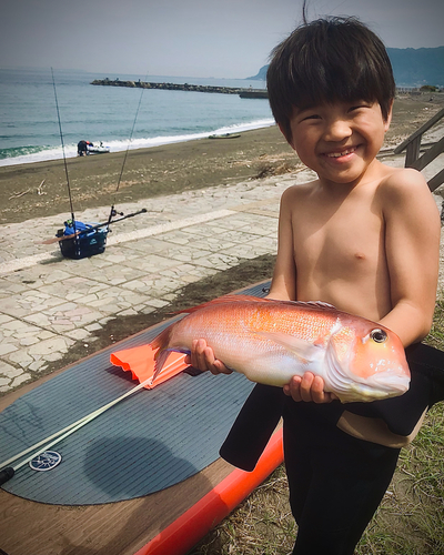 アマダイの釣果