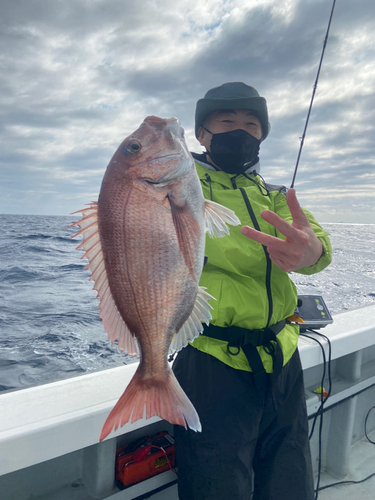 マダイの釣果