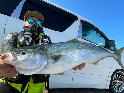 ワラサの釣果