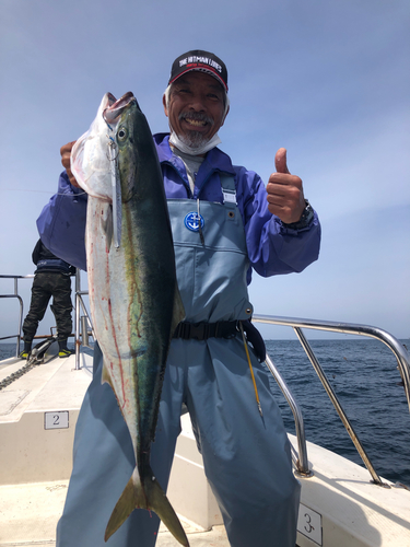 ブリの釣果