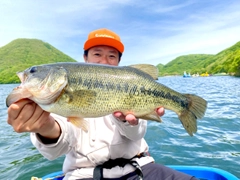 ブラックバスの釣果