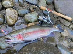 ニジマスの釣果