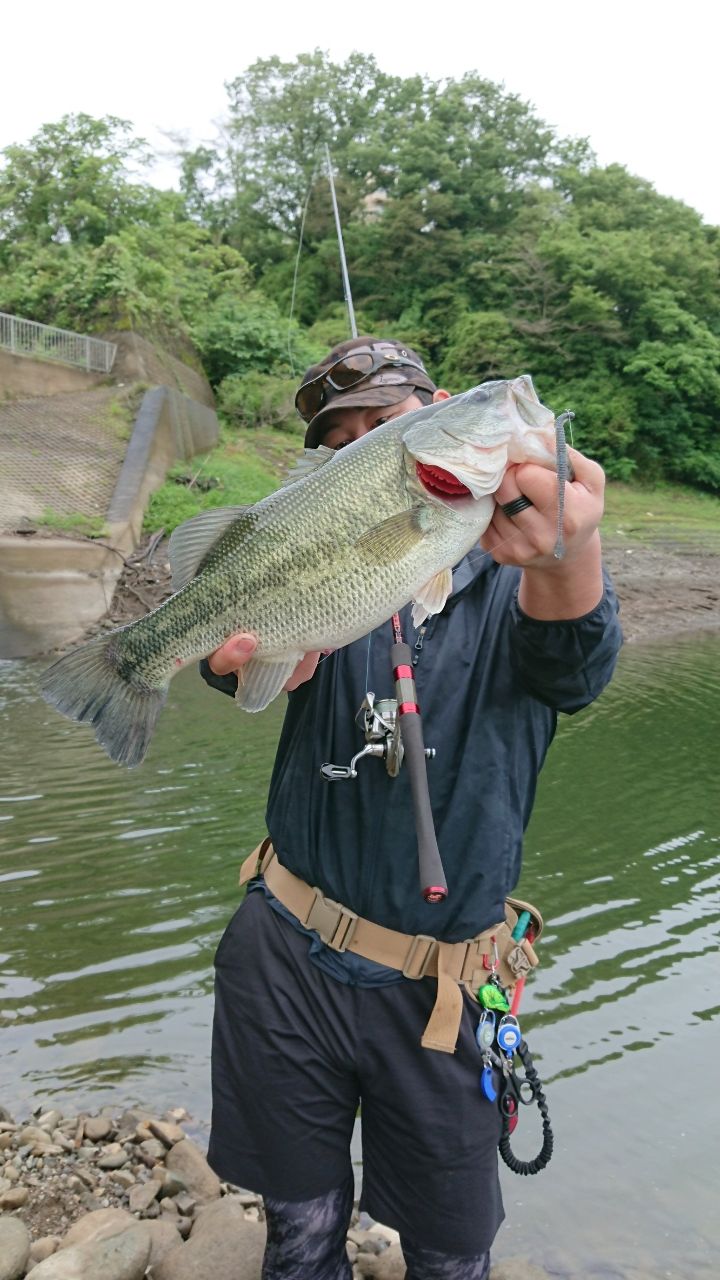 ラージマウスバス