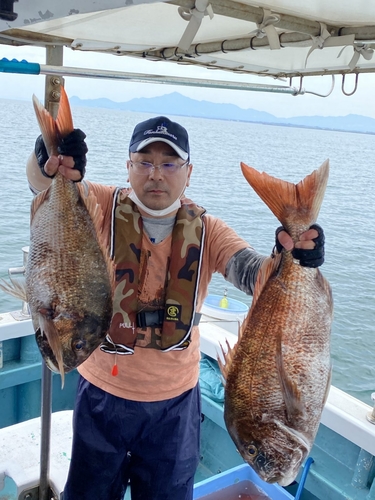 マダイの釣果