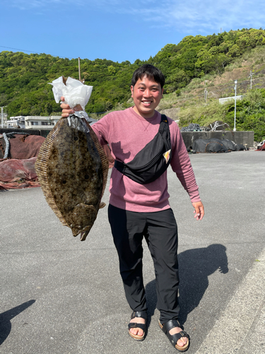 ヒラメの釣果