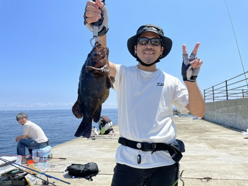 ムラソイの釣果