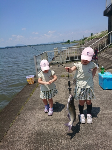 アメリカナマズの釣果