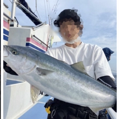 ワラサの釣果