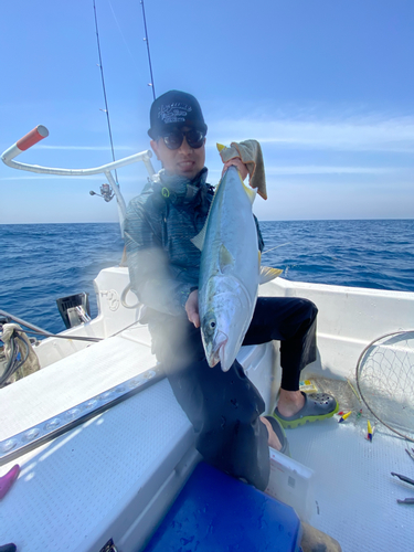 ブリの釣果