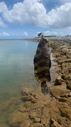 釣果