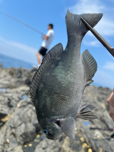 釣果