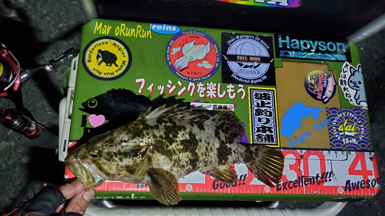 アコウ