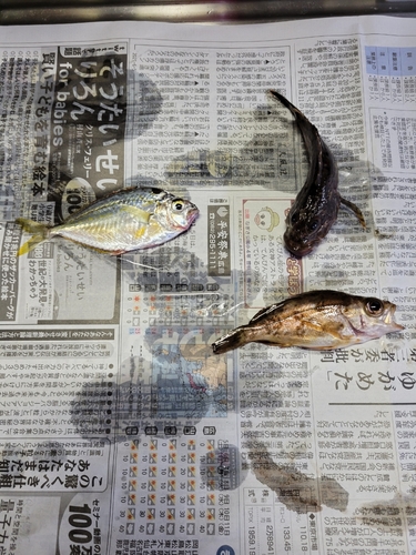 釣果