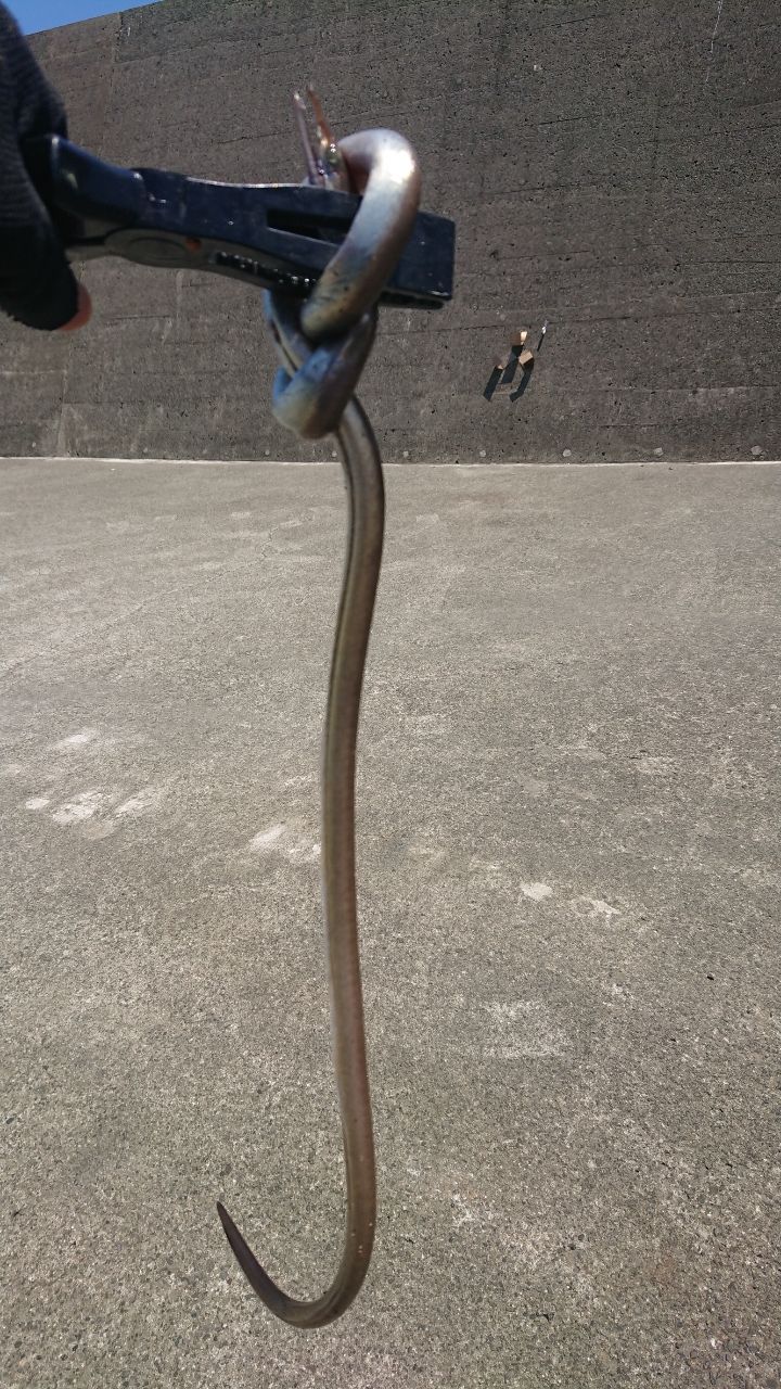 ダイナンウミヘビ