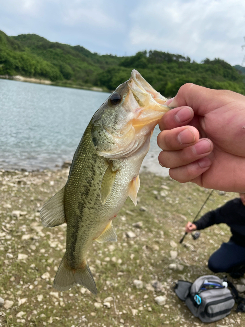 スモールマウスバス