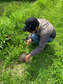 釣果