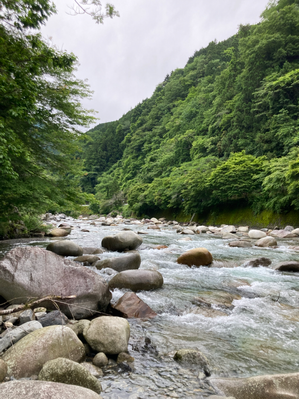 イワナ