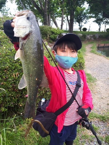 ブラックバスの釣果