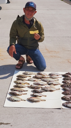 カワハギの釣果