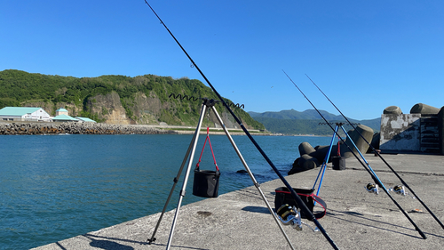 マガレイの釣果