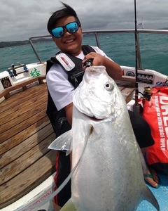 オニヒラアジの釣果