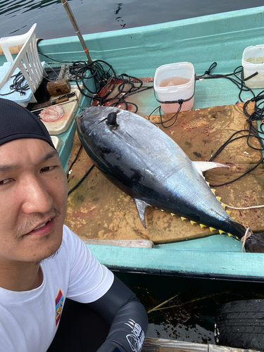 クロマグロの釣果