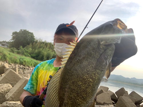 ブラックバスの釣果